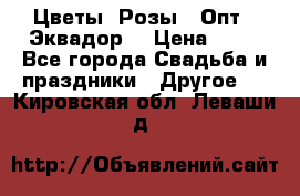 Цветы. Розы.  Опт.  Эквадор. › Цена ­ 50 - Все города Свадьба и праздники » Другое   . Кировская обл.,Леваши д.